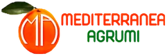 Logo Mediterranea Agrumi